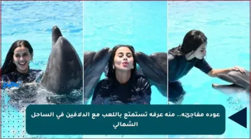 عودة مفاجئة.. منة عرفة تستمتع باللعب مع الدلافين في الساحل الشمالي